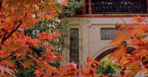 Felhívás muzeális intézmények részére a 21. Múzeumok Őszi Fesztiváljára