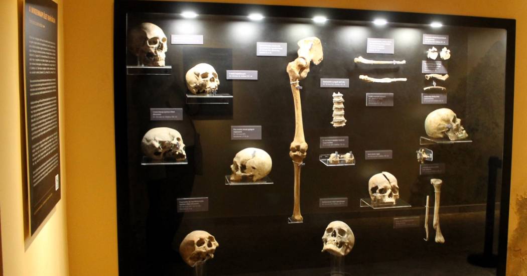 Kardvágás a koponyán, lepra és TBC – Titkok az avar sírok mélyéről