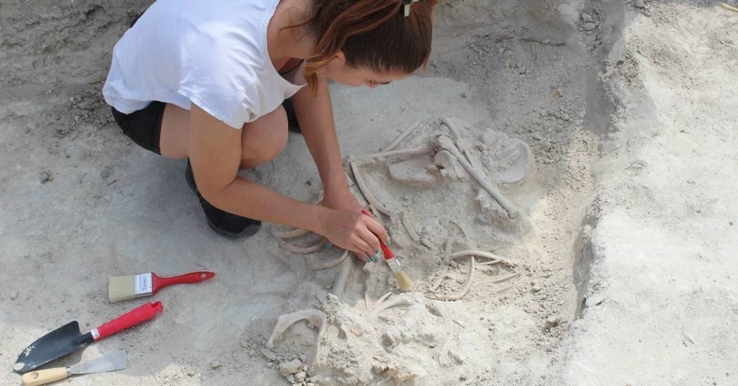 FELHÍVÁS – 2026-ban is Régészeti asszisztens képzést indít a Magyar Nemzeti Múzeum