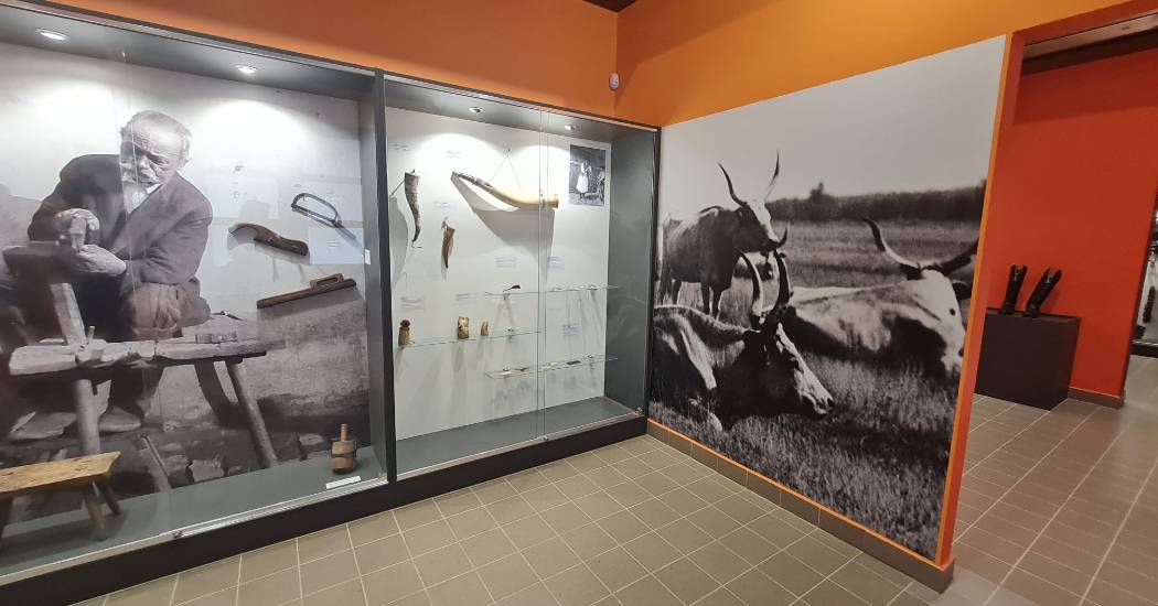 A jószág, s annak haszna – kurátori szemmel egy kiállításról