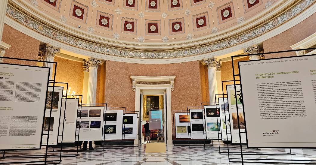 Varázslatos Magyarország - Az év természetfotósa 2025 vándortárlat a Nemzeti Múzeumban