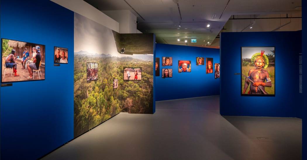 Antropológiai önmitológia – avagy gondolatok A szépség rítusai – Tolldísz és testfestés Amazóniában című kiállítás kapcsán